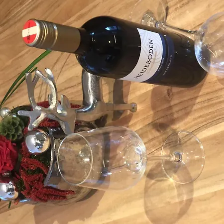 Evi 1 By Interhome Daire Hollersbach im Pinzgau